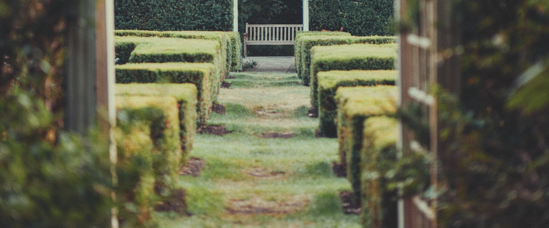 Kapcsolat Only Gardens