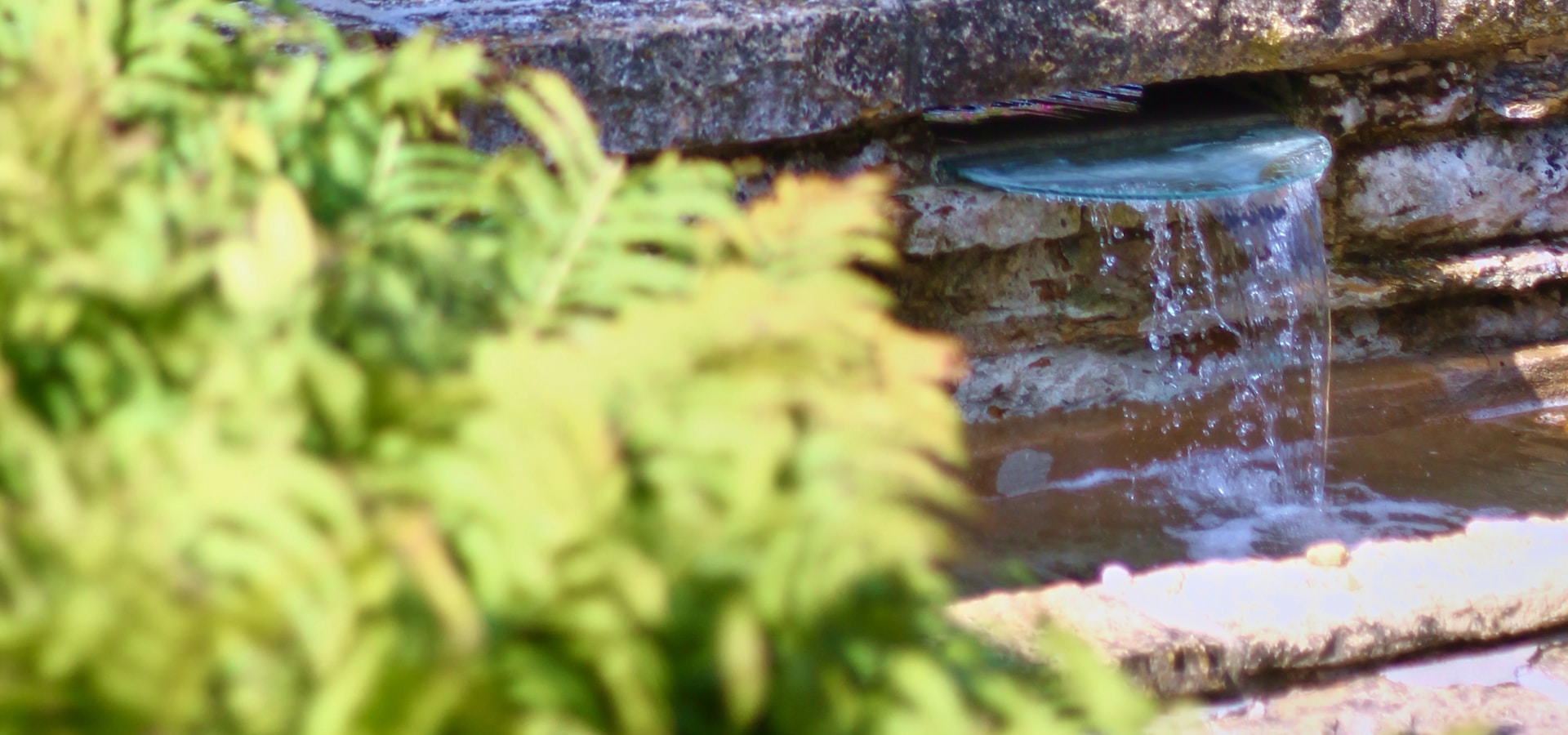 Kertépítés galéria Budapest