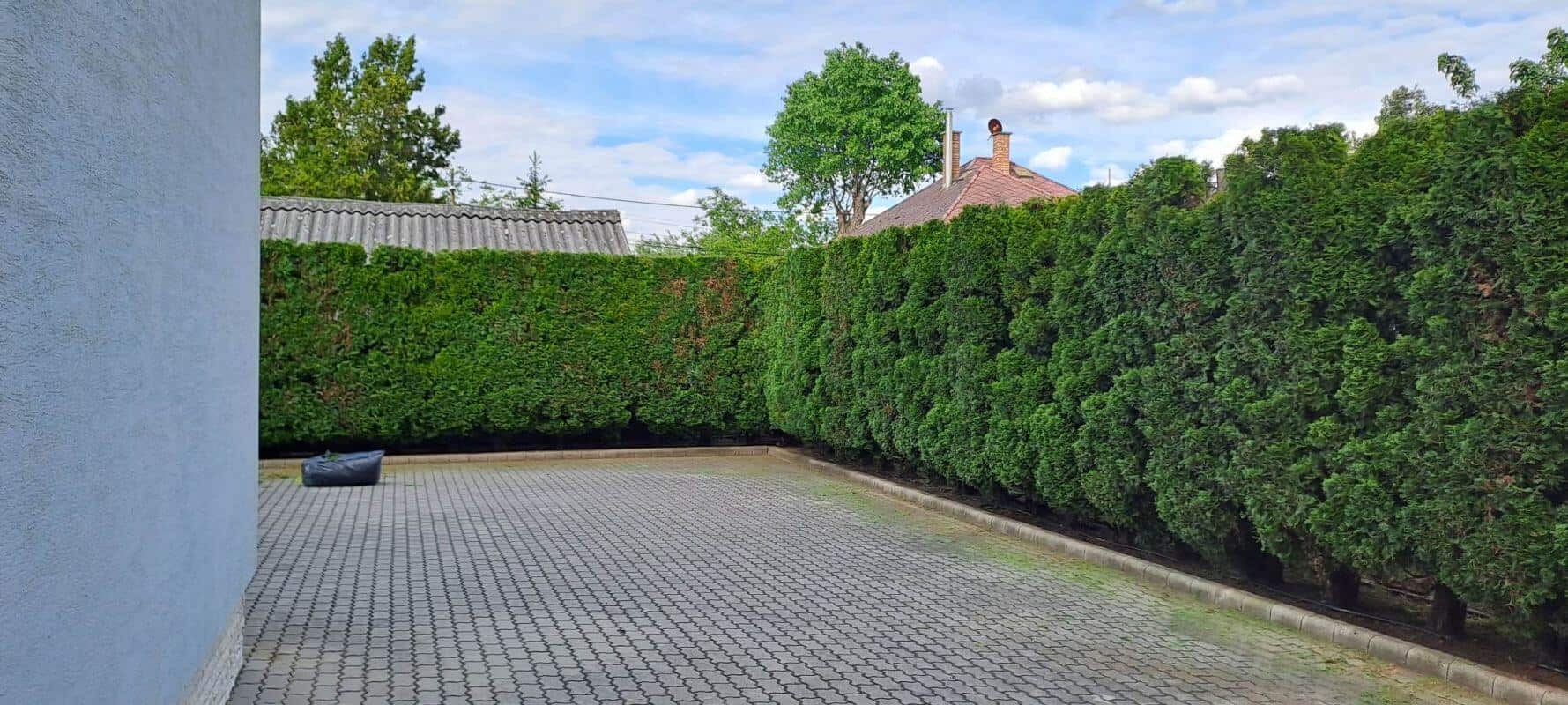 Kerti pergola és növényzet