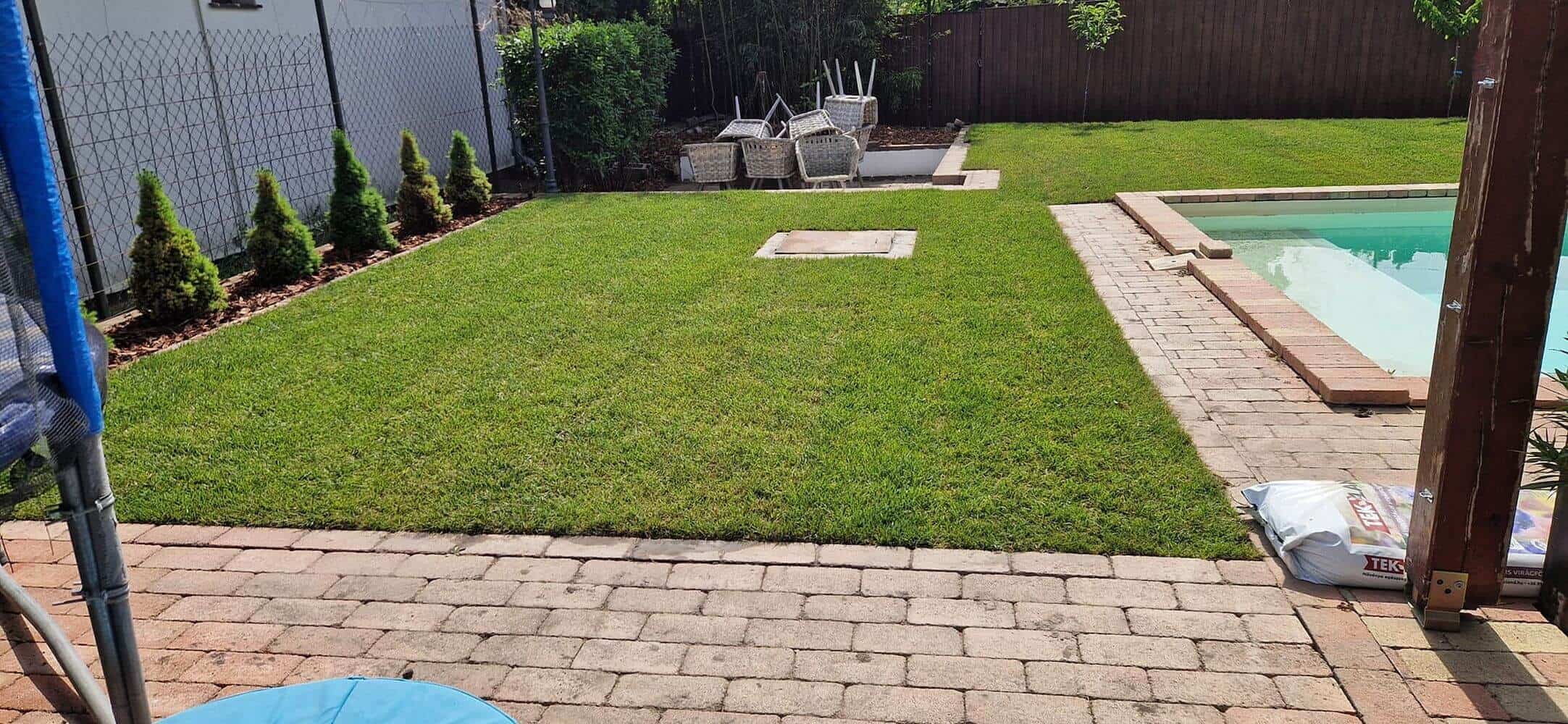 Gyepszőnyeg,növények és medence a tökéletes egyveleg a hátsó udvaron