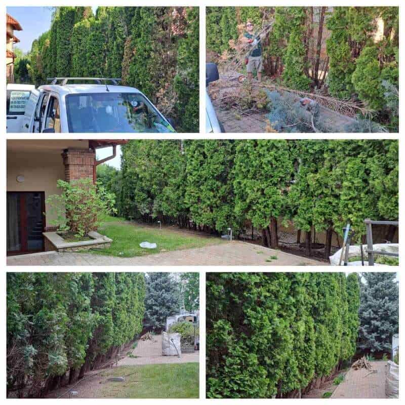 Természetes stílusú kert