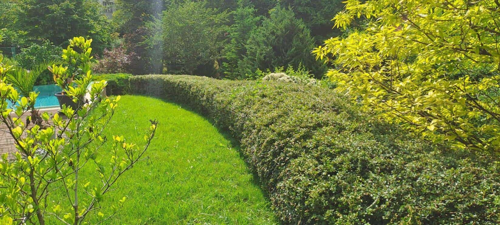 Prémium WPC burkolat